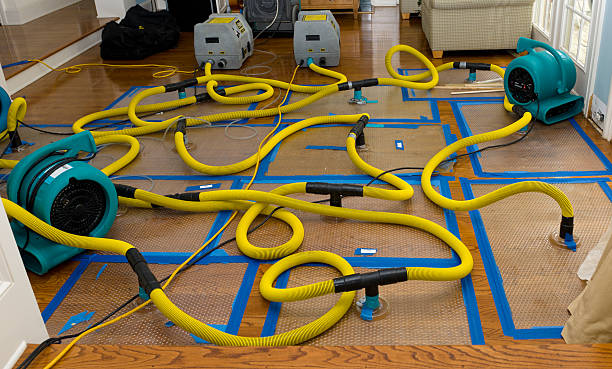 Professional Structural Drying And Dehumidification technician working in Freeburg, IL